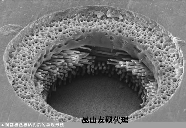 遂宁蔡司遂宁扫描电镜